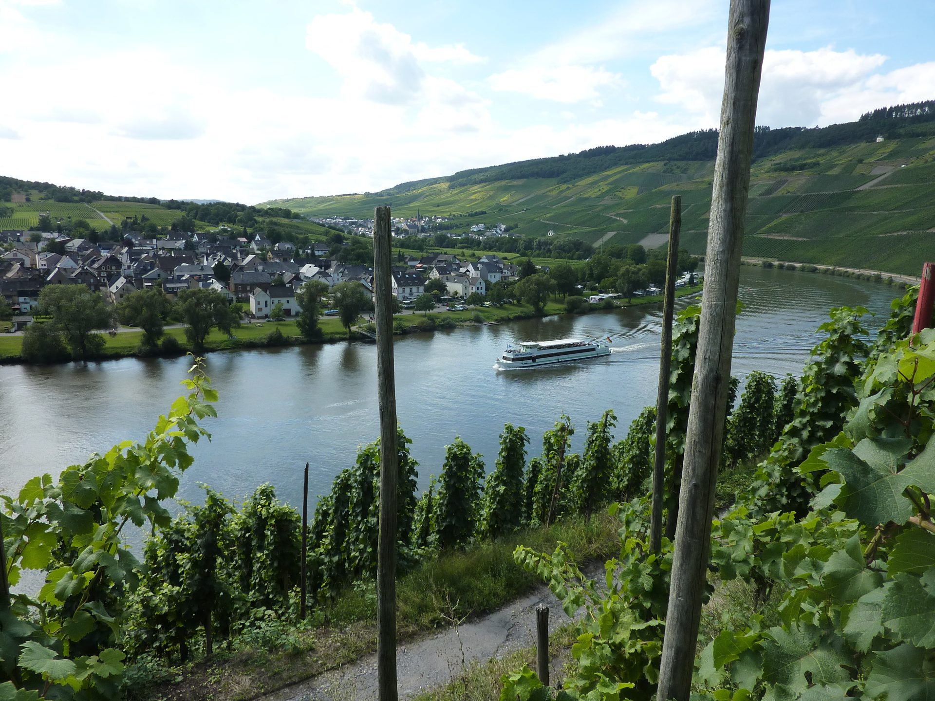 Blick auf die Mosel